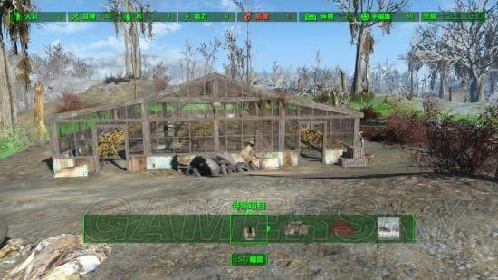 �����ǿ�