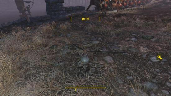 �����ǿ�