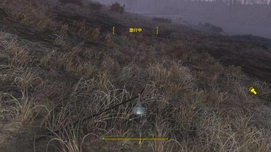 �����ǿ�