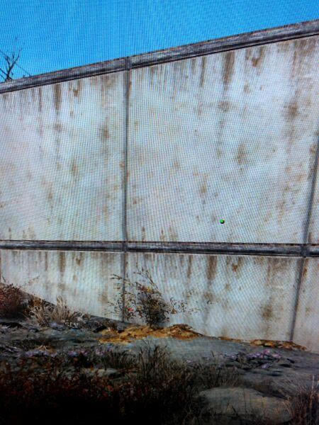 �����ǿ�