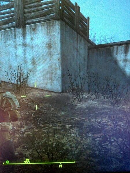 �����ǿ�