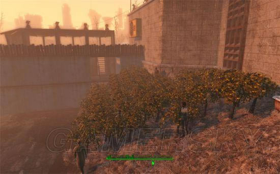 �����ǿ�