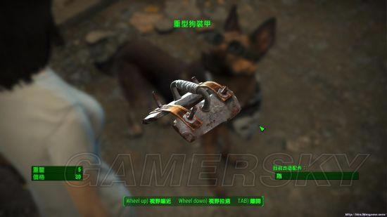 �����ǿ�