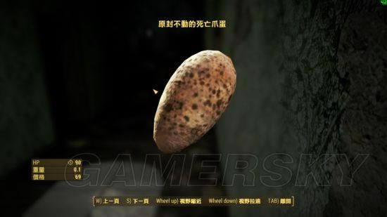 �����ǿ�