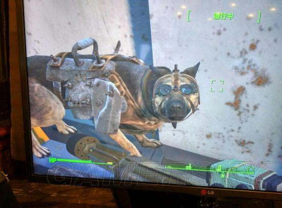 ����4-���ֱؿ�С����