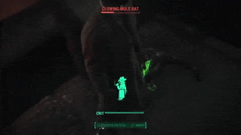 �����ǿ�