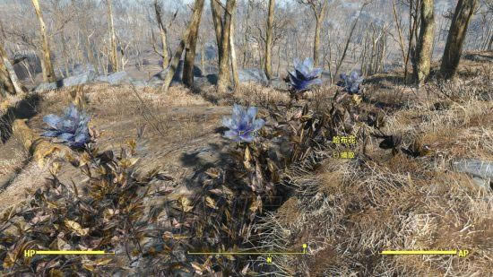 �����ǿ�