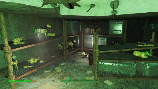 �����ǿ�