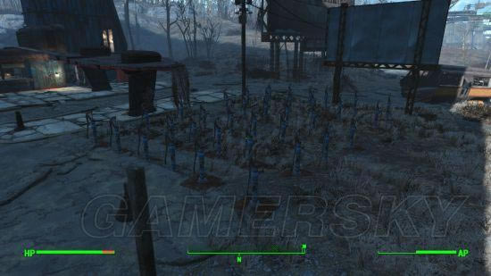 �����ǿ�