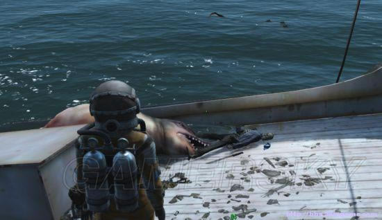 �����ǿ�