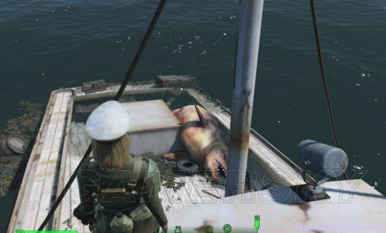 �����ǿ�