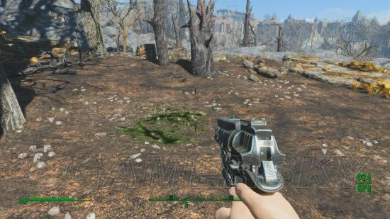 �����ǿ�