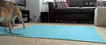 �����ǿ�