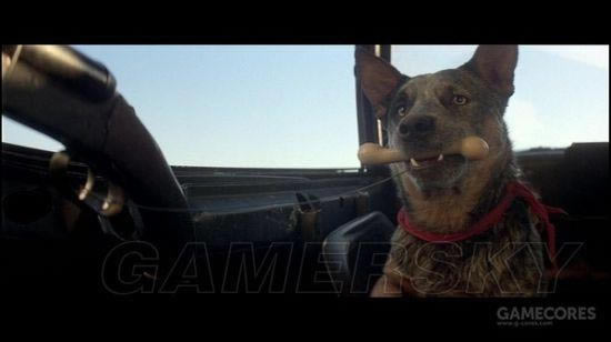 �����ǿ�