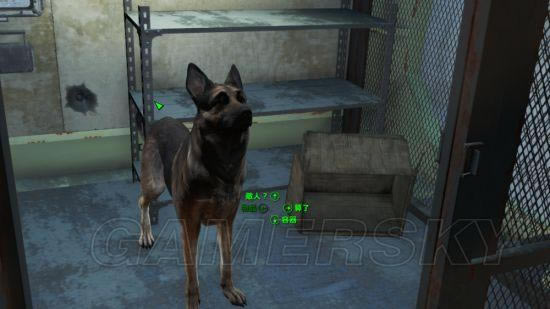 �����ǿ�