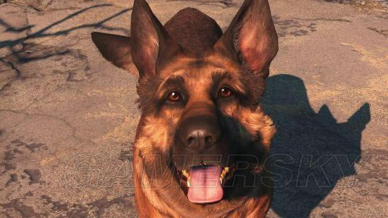 ����4-ϴ�㷽��������˵��