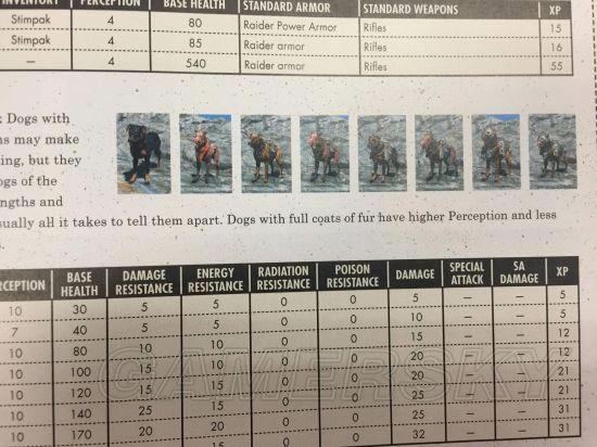 �����ǿ�