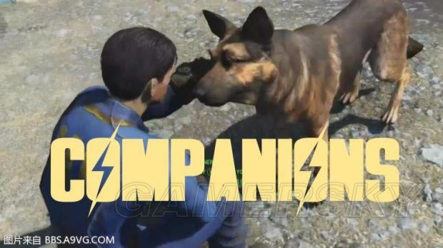 �����ǿ�