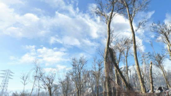 �����ǿ�