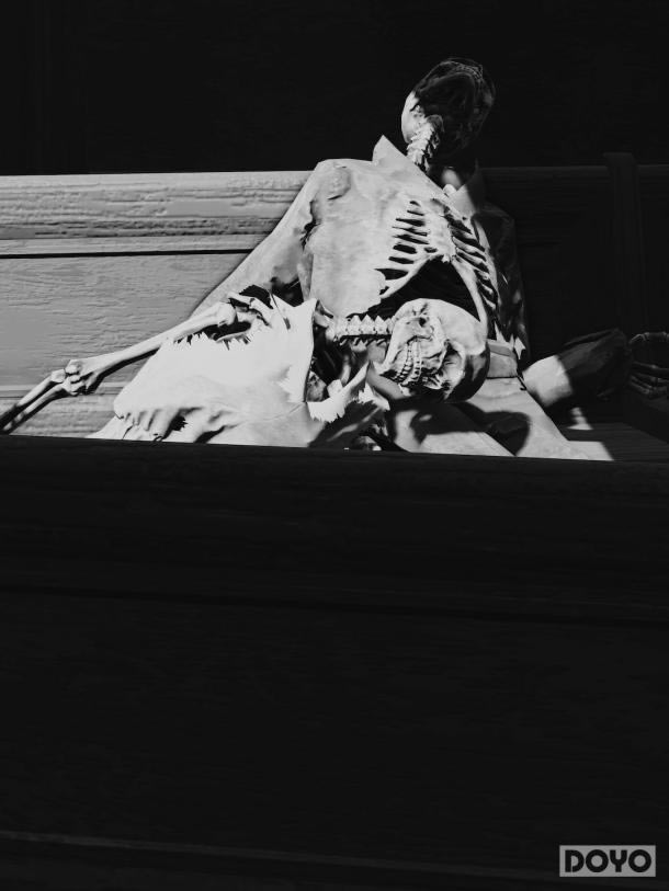 ������4������ĺڰ��� ��԰�ư����в�����ƽ��