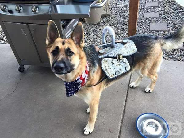 ������氮���������������4������cosplay_��վ