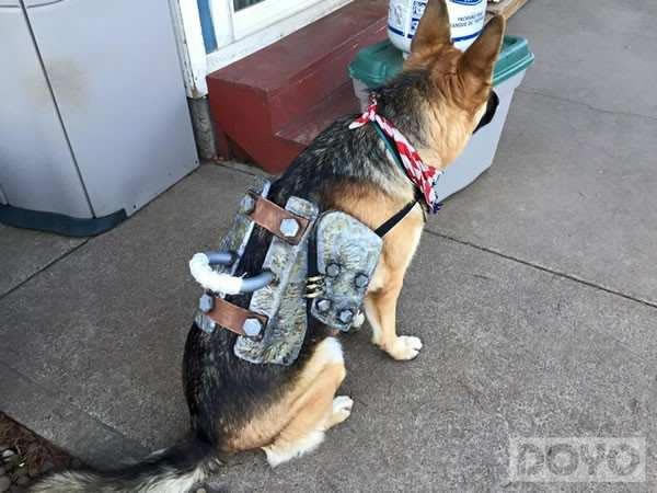 ������氮���������������4������cosplay_��վ