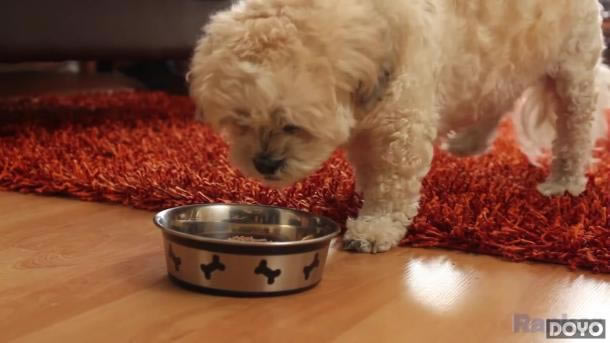 ����������ơ�����4������Ƭ ����ע�������