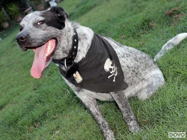 �������ǹ���Ϯ ����������4�������⡱MOD����