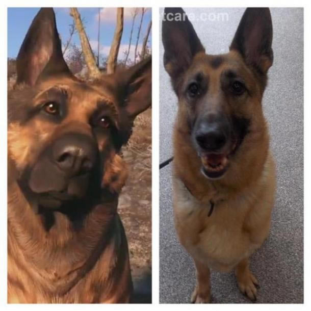 ������4��С�����ԭ���ع� ��������Ա��������