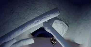 ����ƤƤè����ʲô�ط� ƤƤè��λ���б�