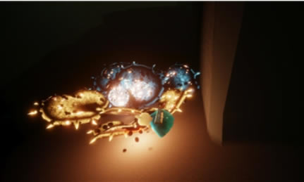 ��������ʮ��ڰ�ֲ��������