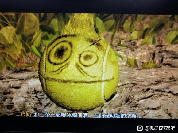 孤岛惊魂6范斯彩蛋介绍_本站