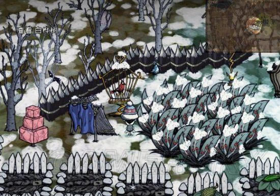 �����ǿ�