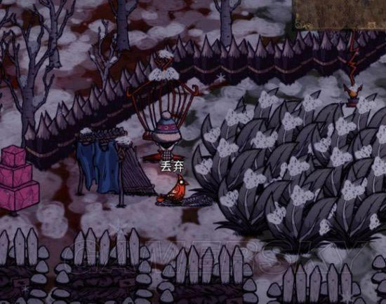 �����ǿ�