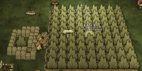 �����ǿ�