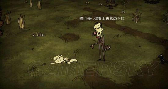 �����ǿ�