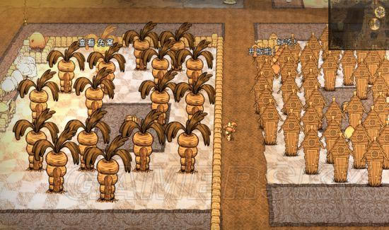 �����ǿ�