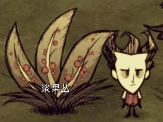 �����ǿ�