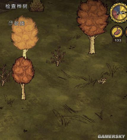 �����ǿ�