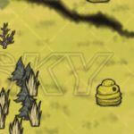 �����ǿ�