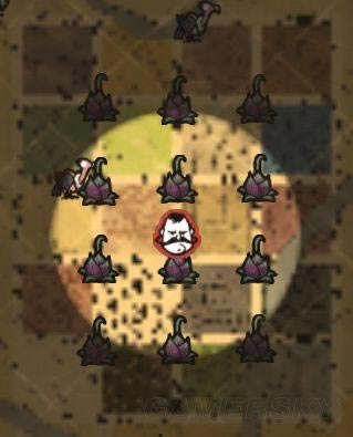 �����ǿ�