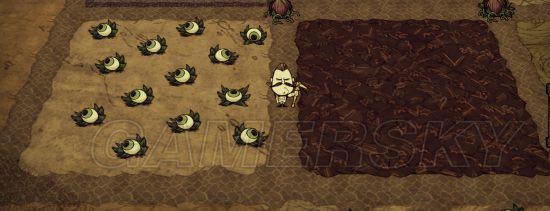 �����ǿ�