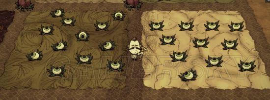 �����ǿ�