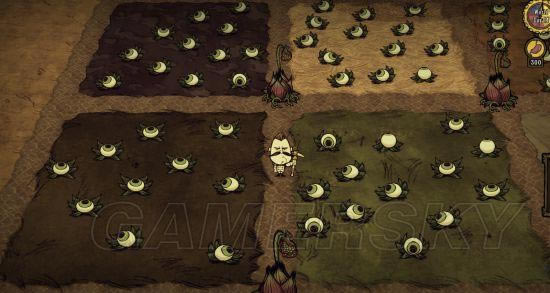 �����ġ����������漼����ϸ˵��