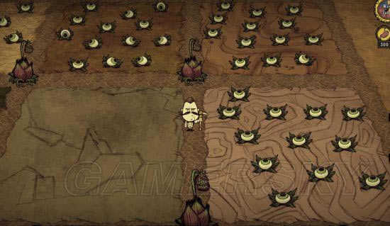 �����ǿ�