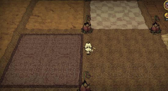 �����ǿ�