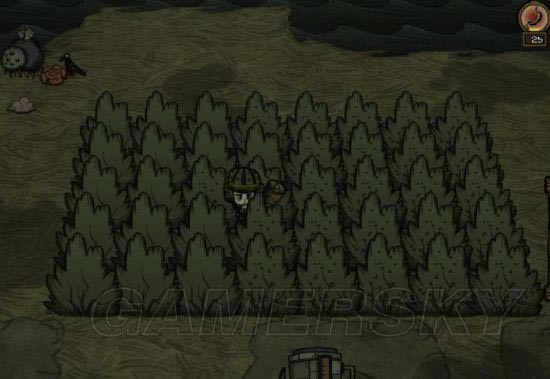 �����ǿ�