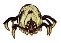 �����ǿ�