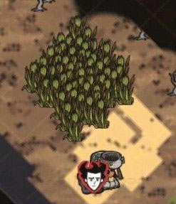 �����ġ���������«έ���巽��_��վ