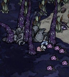 �����ġ���������«έ���巽��_��վ